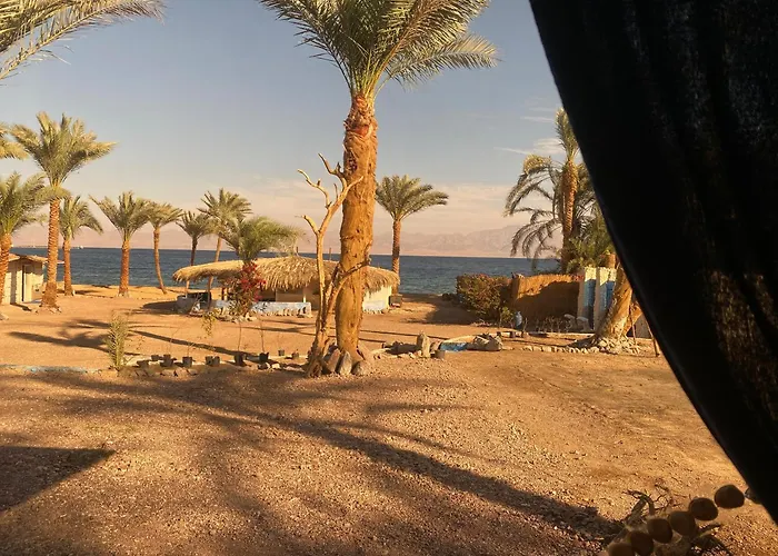 Bayt Alhout